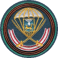 104-й гвардейский десантно-штурмовой полк (в/ч 32515)