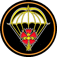 ВЧ 64044. Нарукавная эмблема 2-й отдельной бригады спецназа