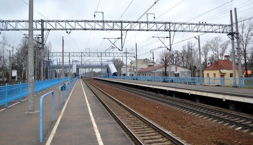 Железнодорожная Станция Левашово