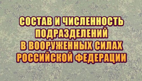 Состав и численность подразделений