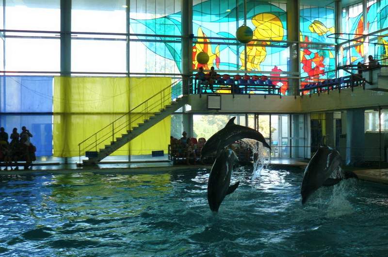 Дельфинарий на территории санатория "Крым"